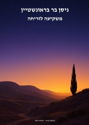 ניסן בר בראונשטיין – משקיעה לזריחה